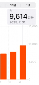 걷기 2023 챌린지