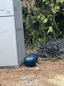 폐가전 무상수거  전기밥솥