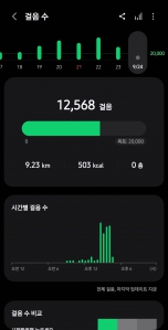 매일 만보이상 걷기