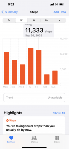 만보 이상 걷기 도전!