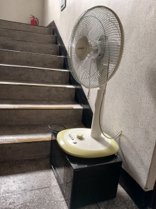 생활 챌린지 참여♡ 