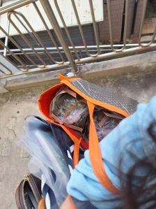 재생봉투 사용하기