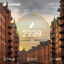 2023보 이상 걷기 챌린지