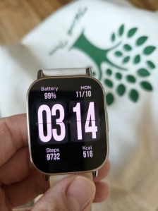 걷기챌린지인증