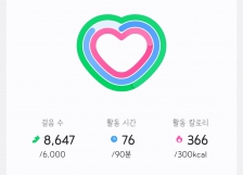 2023보 이상 걷기 인증