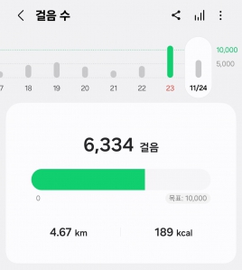 날씨가 좋아서 걷는게 행복하네요