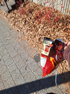 길가 쓰레기줍기