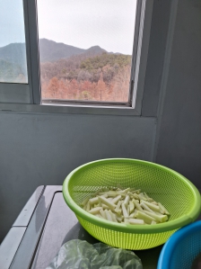 걷다가 무사왔다