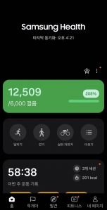 2025년 12월 13일 건강걷기