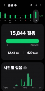 2026년 1월 6일 걷기