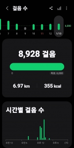 2026년 1월 13일 걷기