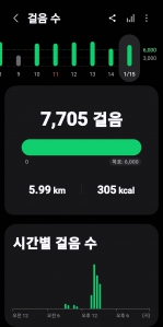 2026년 1월 15일 걷기