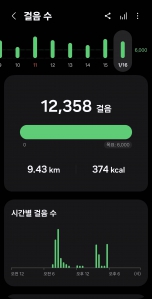 2026년 1월 16일 건강 걷기