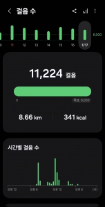 2026년 1월 17일 건강 걷기