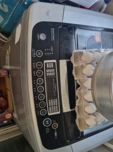 폐 세탁기 배출