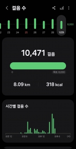 2026년 1월 29일 건강 걷기