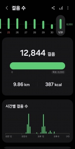 2026년 1월 31일 건강걷기