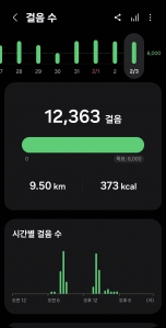 2026년 2월 3일 건강 걷기