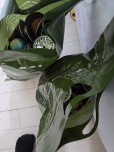 캡슐 모았어요~