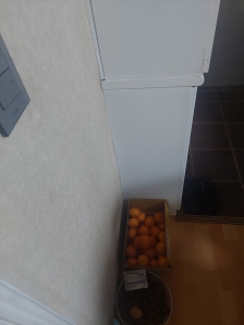 김치냉장고, 정수기 1대 배출했어요