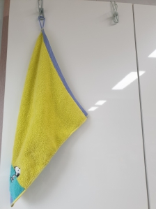 페이퍼 타올 대신 손수건 사용해요