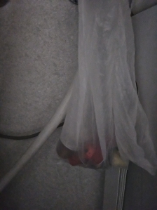 커핍캡슐 모아모아