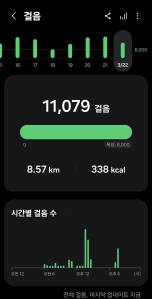 2026년 3월 22일 건강 걷기