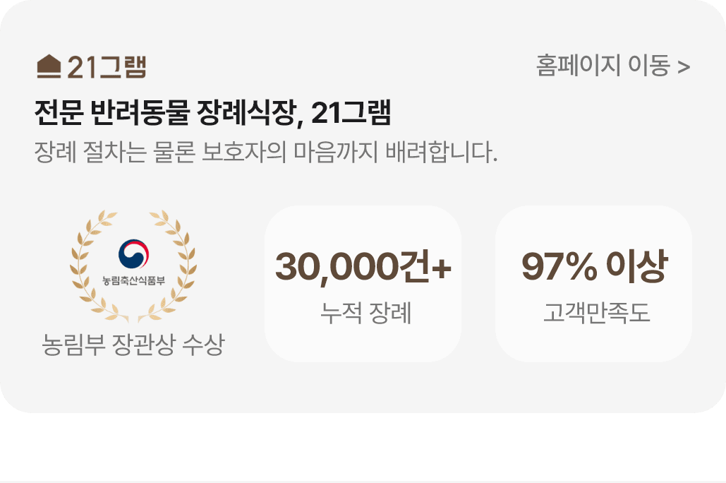 21그램 전문 반려동물 장례식장