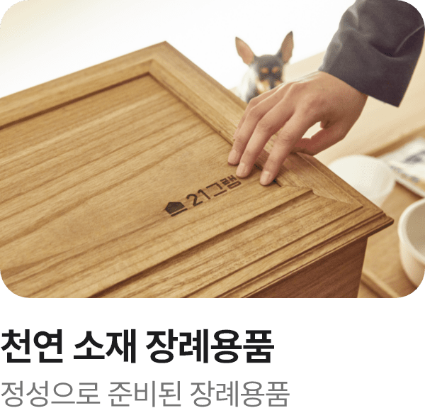 서비스 특징 5